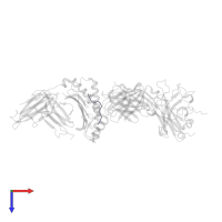Cancer/testis antigen 1 in PDB entry 2f54, assembly 2, top view.