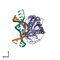 PDB entry 2f5o coloured by chain, side view.