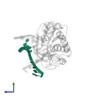 5'-D(*AP*GP*G*TP*AP*GP*AP*CP*CP*TP*GP*GP*AP*CP*GP*C)-3' in PDB entry 2f5q, assembly 1, side view.