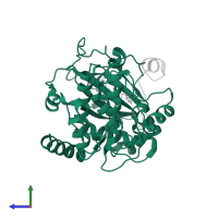 cAMP-dependent protein kinase catalytic subunit alpha in PDB entry 2f7e, assembly 1, side view.