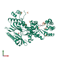 PDB entry 2f7f coloured by chain, front view.