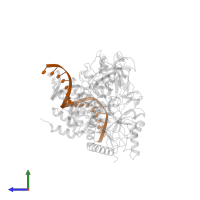 5'-D(*TP*TP*TP*CP*TP*TP*TP*CP*CP*CP*AP*CP*AP*GP*TP*AP*AP*C)-3' in PDB entry 2f8x, assembly 1, side view.