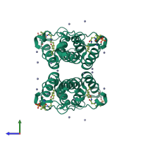 Homo tetrameric assembly 3 of PDB entry 2fac coloured by chemically distinct molecules, side view.