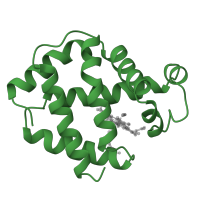 The deposited structure of PDB entry 2fam contains 1 copy of SCOP domain 46463 (Globins) in Globin. Showing 1 copy in chain A.