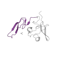 The deposited structure of PDB entry 2fd6 contains 1 copy of SCOP domain 57197 (EGF-type module) in Urokinase-type plasminogen activator long chain A. Showing 1 copy in chain A.