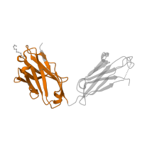 The deposited structure of PDB entry 2fd6 contains 1 copy of Pfam domain PF07686 (Immunoglobulin V-set domain) in Ig-like domain-containing protein. Showing 1 copy in chain C [auth H].