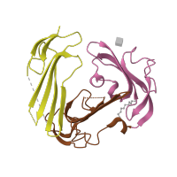 The deposited structure of PDB entry 2fd6 contains 3 copies of CATH domain 2.10.60.10 (CD59) in Urokinase plasminogen activator surface receptor. Showing 3 copies in chain D [auth U].