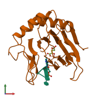 PDB entry 2fd8 coloured by chain, front view.