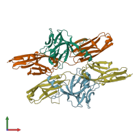 PDB entry 2fdb coloured by chain, front view.