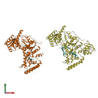 PDB entry 2fdc coloured by chain, front view.