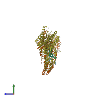 PDB entry 2fdc coloured by chain, side view.