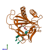 PDB entry 2fdi coloured by chain, side view.