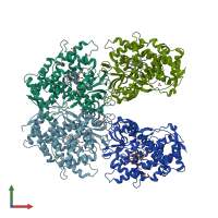 PDB entry 2fdv coloured by chain, front view.