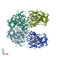 PDB entry 2fdy coloured by chain, front view.