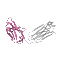 The deposited structure of PDB entry 2fed contains 2 copies of SCOP domain 48727 (V set domains (antibody variable domain-like)) in Fab fragment, light chain. Showing 1 copy in chain D.