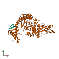 PDB entry 2fff coloured by chain, front view.