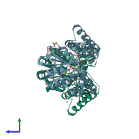 PDB entry 2ffj coloured by chain, side view.