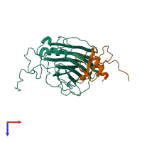 PDB entry 2ffk coloured by chain, top view.