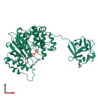 PDB entry 2ffu coloured by chain, front view.