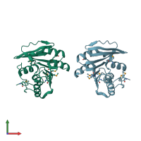 PDB entry 2fhp coloured by chain, front view.