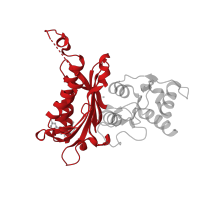 The deposited structure of PDB entry 2fhy contains 4 copies of CATH domain 3.30.540.10 (Fructose-1,6-Bisphosphatase; Chain A, domain 1) in Fructose-1,6-bisphosphatase 1. Showing 1 copy in chain A.