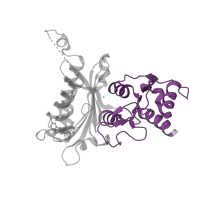 The deposited structure of PDB entry 2fhy contains 4 copies of Pfam domain PF18913 (Fructose-1-6-bisphosphatase, C-terminal domain) in Fructose-1,6-bisphosphatase 1. Showing 1 copy in chain A.