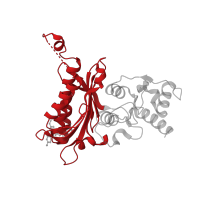 The deposited structure of PDB entry 2fie contains 4 copies of CATH domain 3.30.540.10 (Fructose-1,6-Bisphosphatase; Chain A, domain 1) in Fructose-1,6-bisphosphatase 1. Showing 1 copy in chain A.