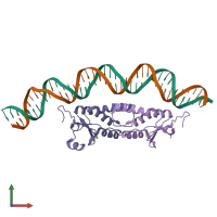 PDB entry 2fio coloured by chain, front view.