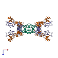 Hetero dodecameric assembly 2 of PDB entry 2fjg coloured by chemically distinct molecules, top view.