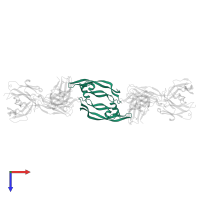 N-VEGF in PDB entry 2fjg, assembly 1, top view.