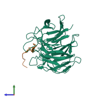 PDB entry 2flu coloured by chain, side view.