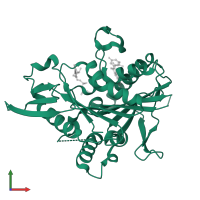 Kinesin-like protein KIF11 in PDB entry 2fme, assembly 1, front view.