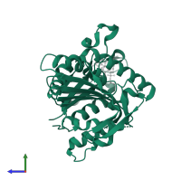 Kinesin-like protein KIF11 in PDB entry 2fme, assembly 1, side view.