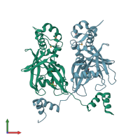PDB entry 2fml coloured by chain, front view.