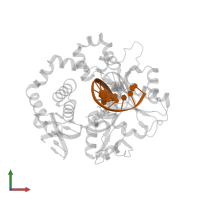 5'-D(*GP*CP*TP*GP*AP*TP*GP*CP*GP*C)-3' in PDB entry 2fmq, assembly 1, front view.