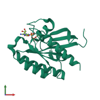 PDB entry 2fn4 coloured by chain, front view.