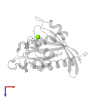 MAGNESIUM ION in PDB entry 2fn4, assembly 1, top view.