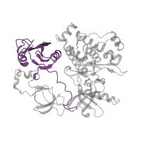 The deposited structure of PDB entry 2fo0 contains 1 copy of CATH domain 3.30.505.10 (SHC Adaptor Protein) in Tyrosine-protein kinase ABL1. Showing 1 copy in chain A.