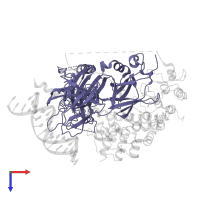 Suppressor of hairless protein homolog in PDB entry 2fo1, assembly 1, top view.