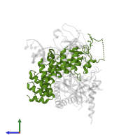 Protein lin-12 in PDB entry 2fo1, assembly 1, side view.