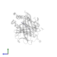 Mucin-1 subunit alpha in PDB entry 2fo4, assembly 1, side view.