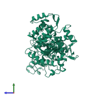 Monomeric assembly 2 of PDB entry 2fok coloured by chemically distinct molecules, side view.