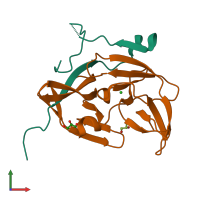 PDB entry 2fom coloured by chain, front view.