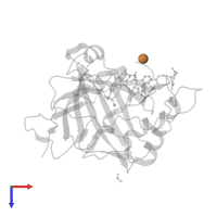 COPPER (II) ION in PDB entry 2fov, assembly 1, top view.