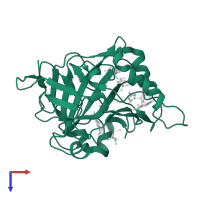 Carbonic anhydrase 1 in PDB entry 2foy, assembly 1, top view.
