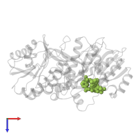 NADPH DIHYDRO-NICOTINAMIDE-ADENINE-DINUCLEOTIDE PHOSPHATE in PDB entry 2fr0, assembly 1, top view.