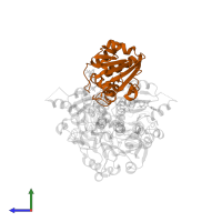 NAD(P) transhydrogenase subunit beta in PDB entry 2fr8, assembly 1, side view.