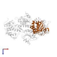 NAD(P) transhydrogenase subunit beta in PDB entry 2fr8, assembly 1, top view.