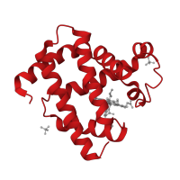 The deposited structure of PDB entry 2frf contains 1 copy of CATH domain 1.10.490.10 (Globin-like) in Myoglobin. Showing 1 copy in chain A.
