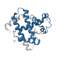 The deposited structure of PDB entry 2frf contains 1 copy of Pfam domain PF00042 (Globin) in Myoglobin. Showing 1 copy in chain A.